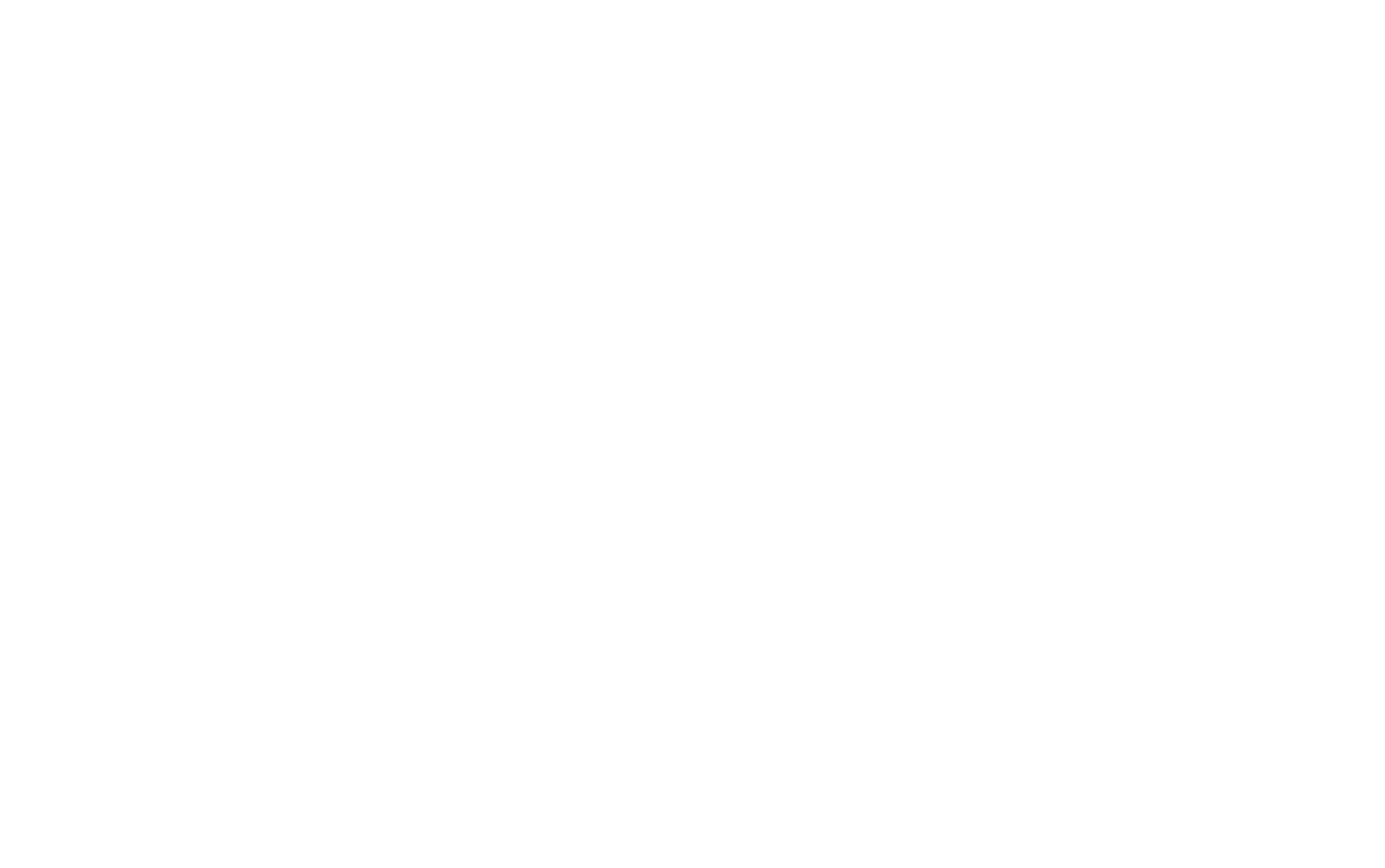 Logo estación de esquí Port Ainé en el Pirineo