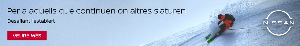 Banner Webcams Nissan