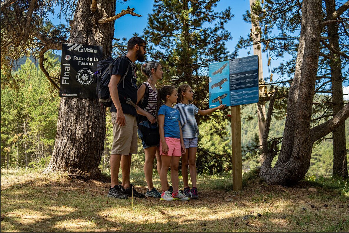 Metapark estiu La Molina