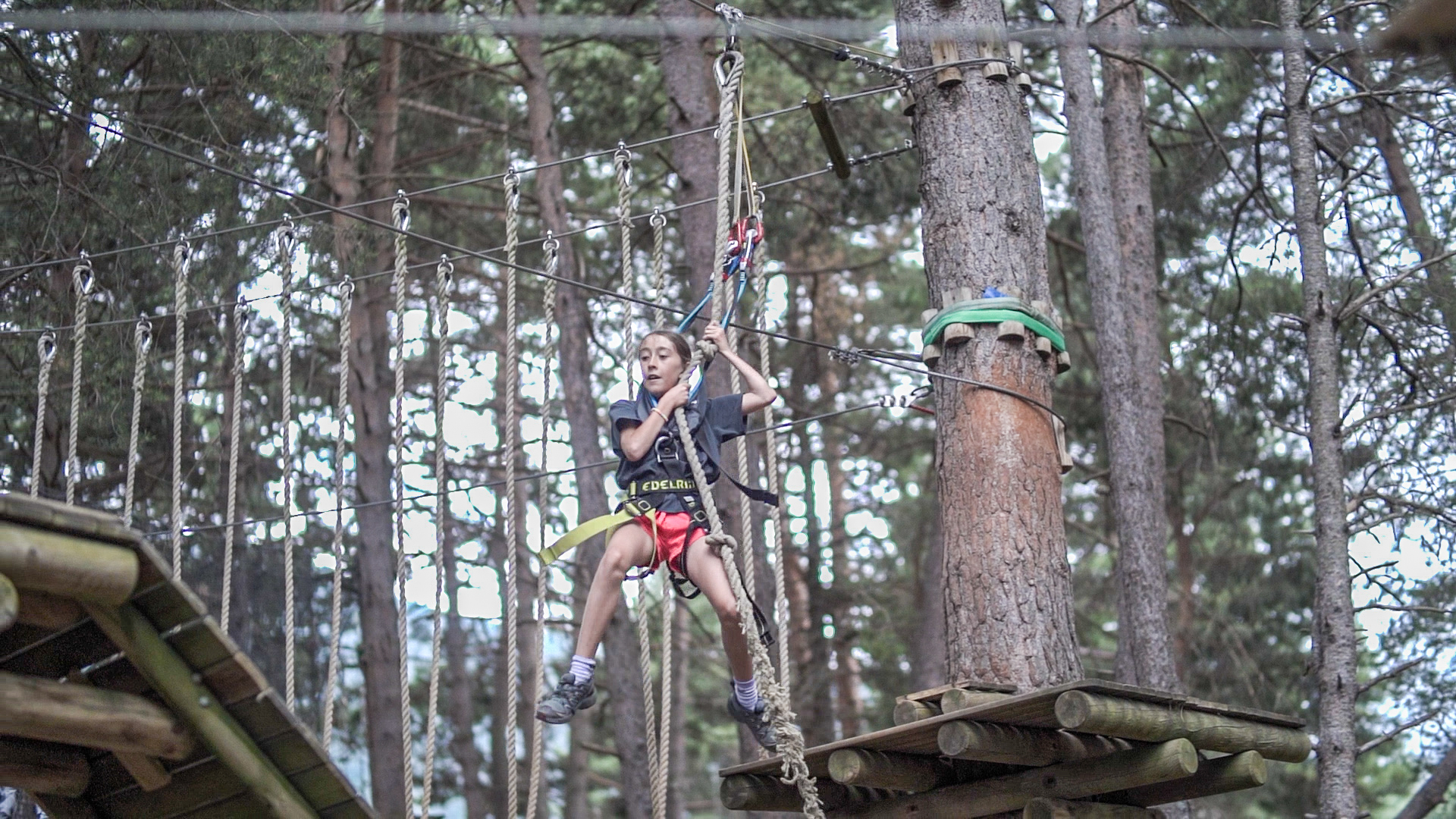 Parc d'aventura als arbres