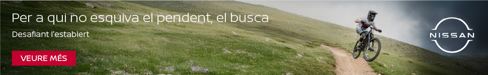 Banner Web Infoverano Nissan 970×150