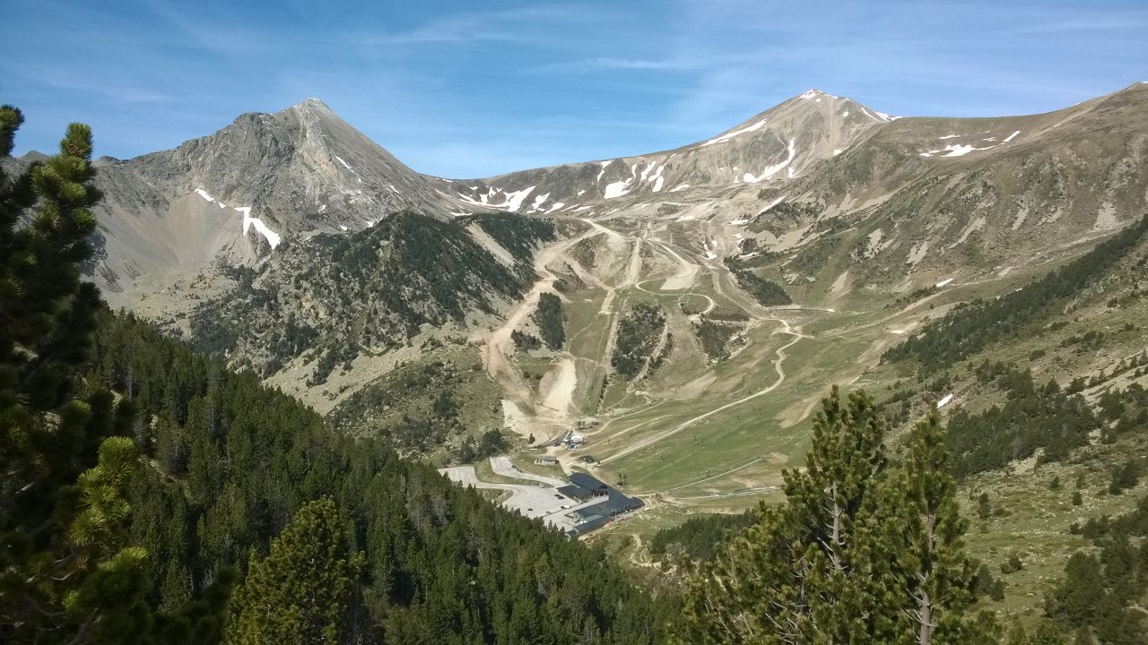 circdemorens