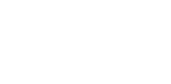 vallter logo blanco