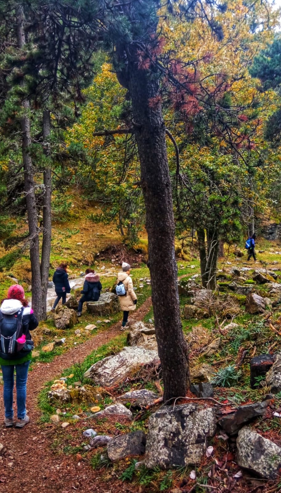 banys de bosc La Molina